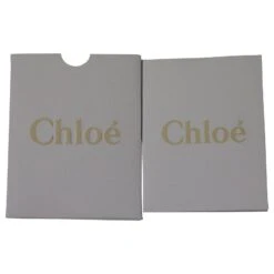 Chloé Ballerines Chloe Lauren En Cuir Rose Rouille 20 Chloé Ballerines Chloe Lauren En Cuir Rose Rouille -Chloé 649014 9